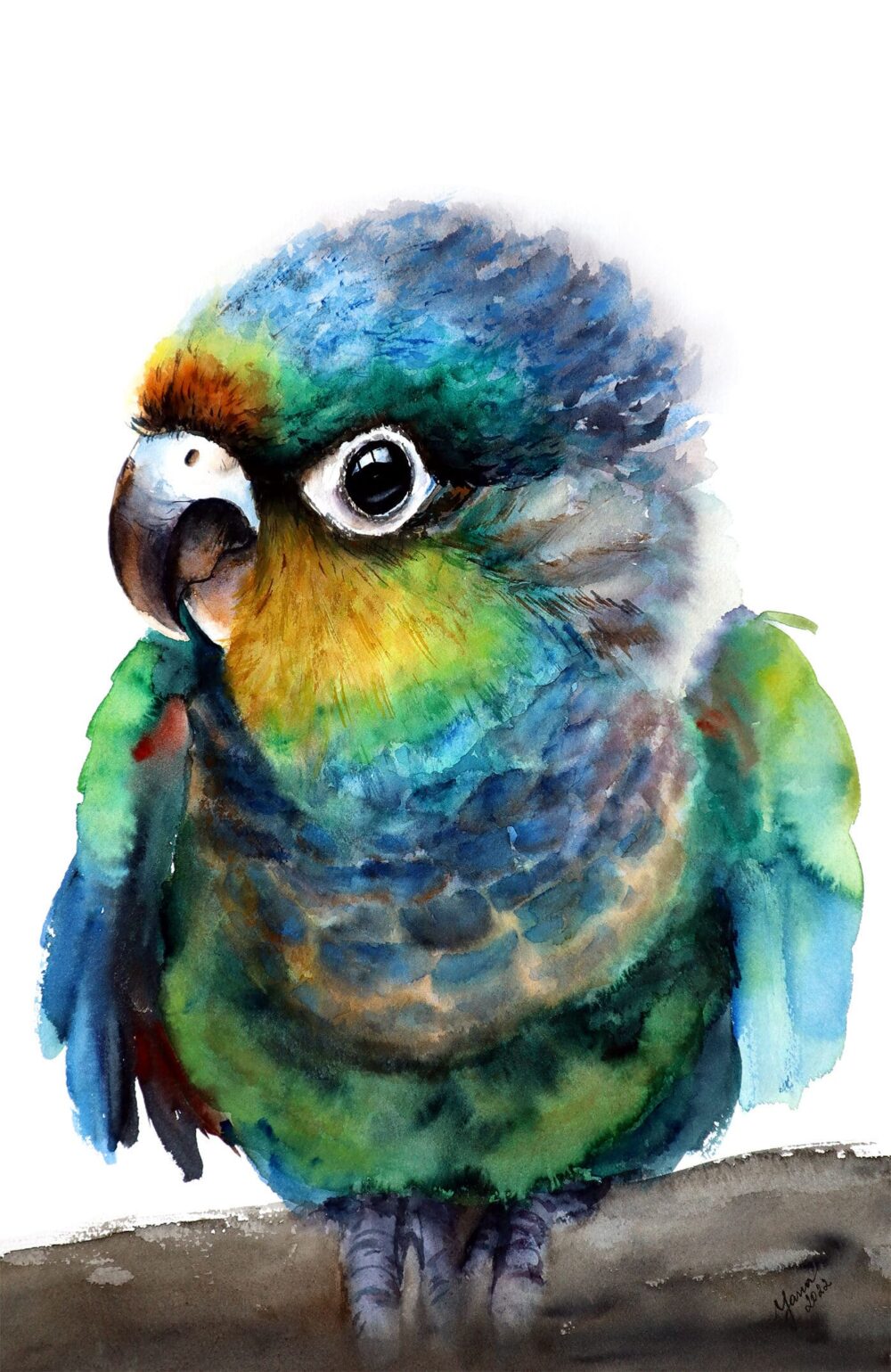original watercolor painting of a colorful parrot