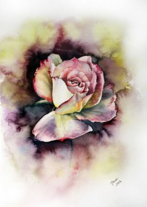 original watercolor painting of a tender rose