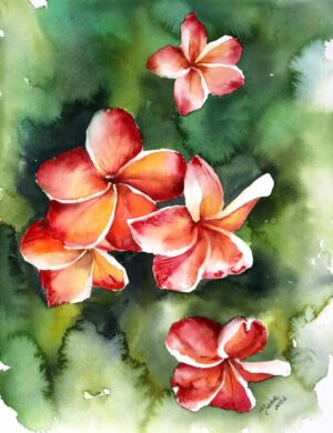 a watercolor painting of plumeria flower