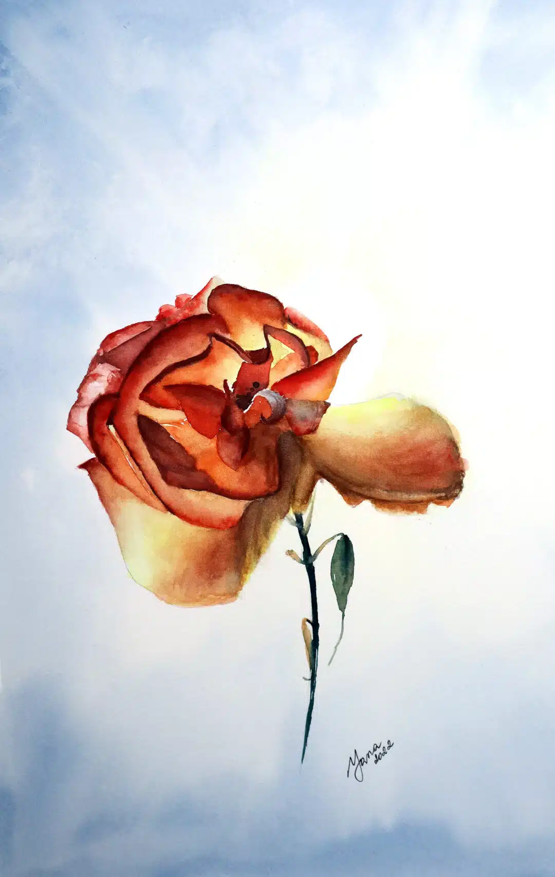 golden rose watercolor painting of an orange rose