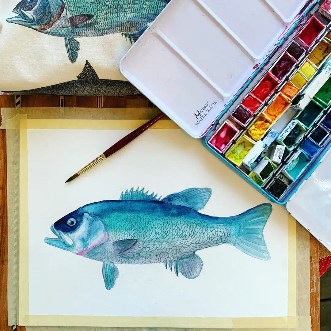Fish