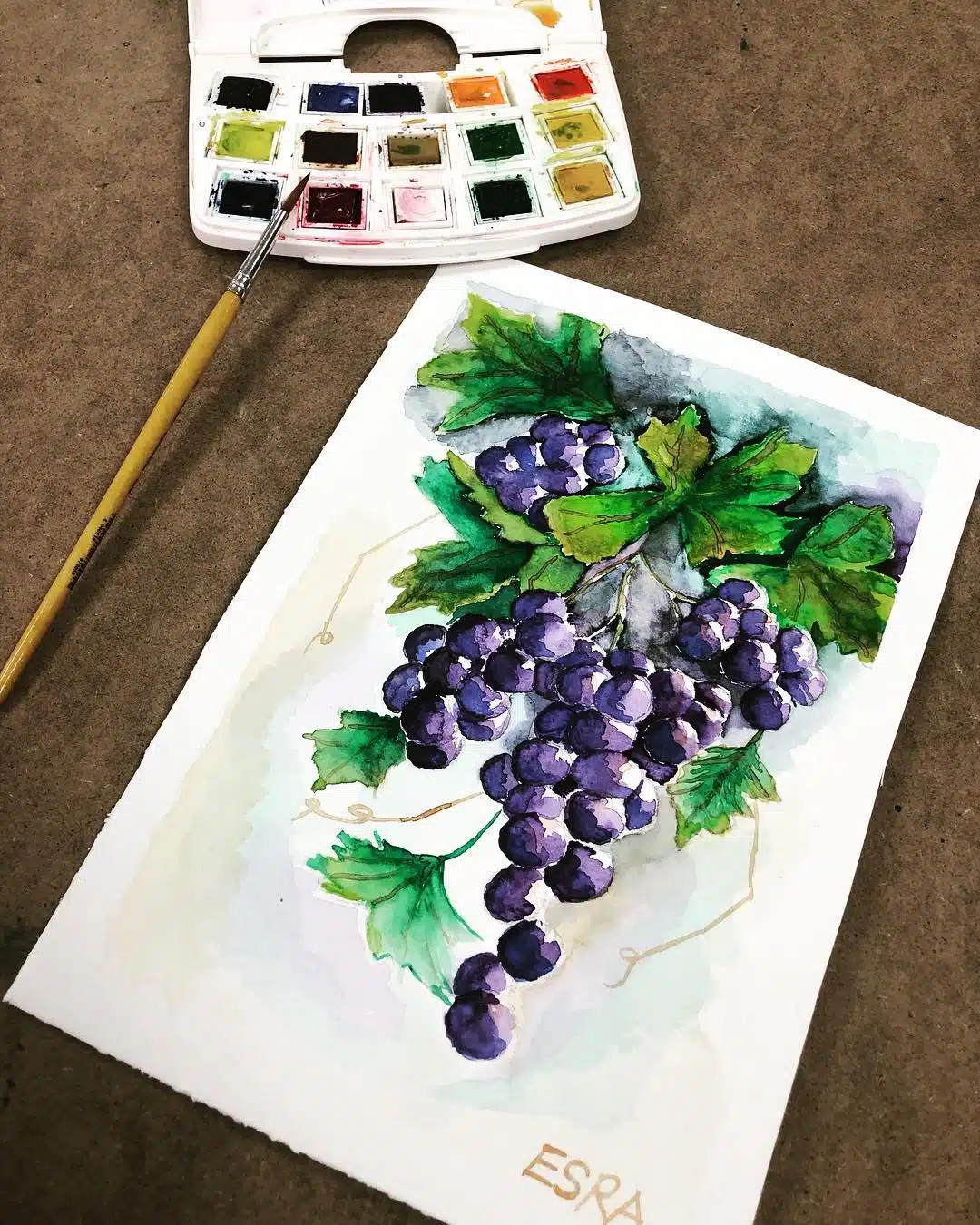 Grapes