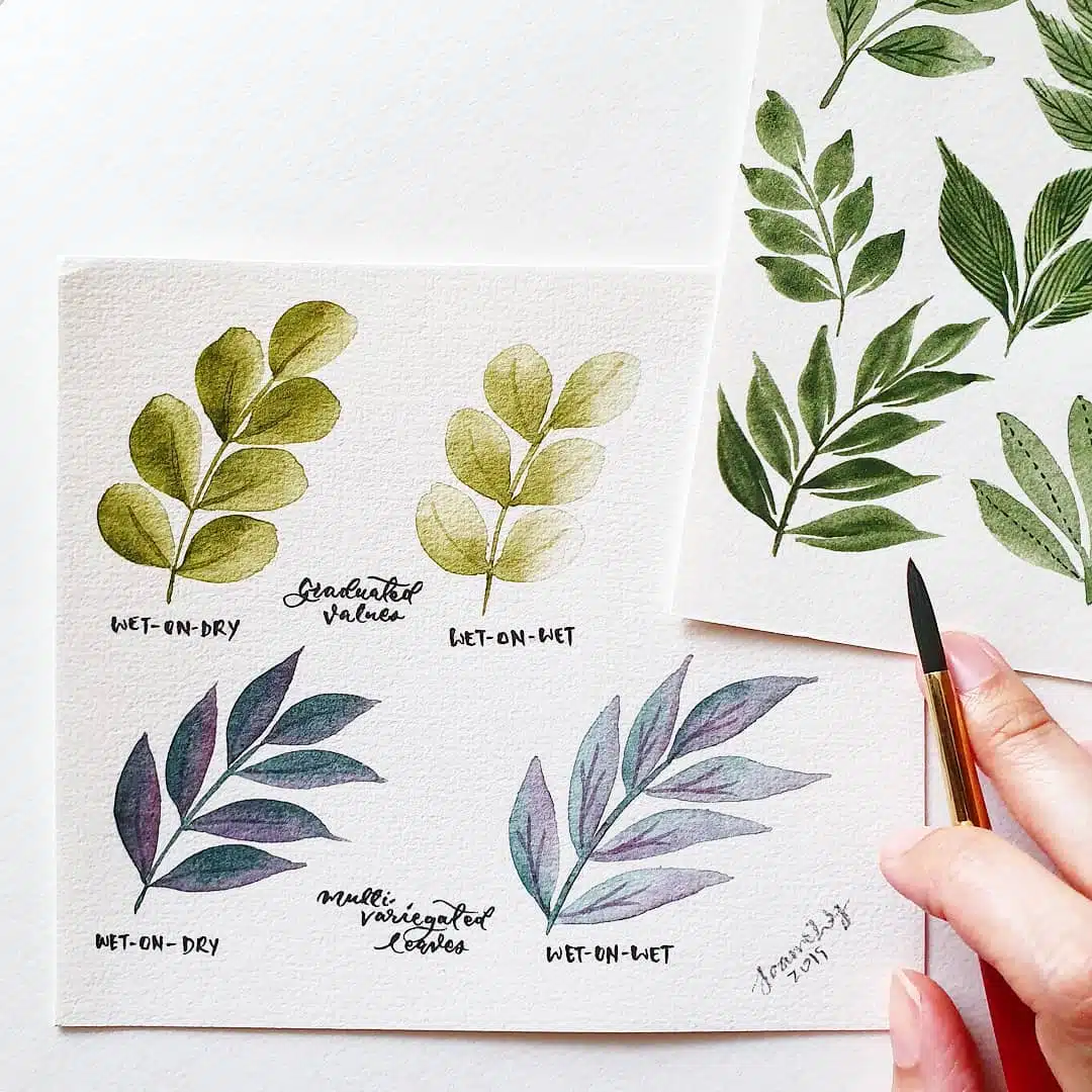 Leaves